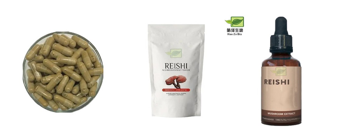 reishi extarct powder reishi extarct powder