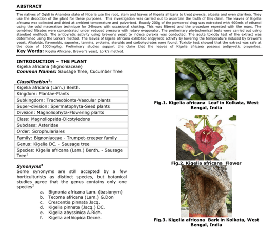 kigelia bark powder kigelia bark powder