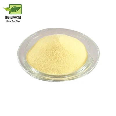 Vitamin  A  Palmitate