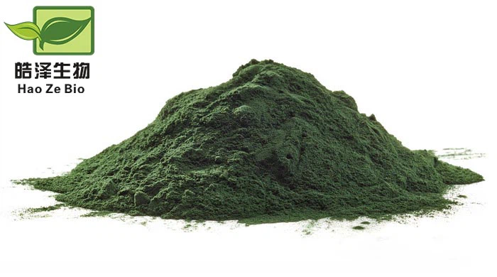 Òganik spirulina poud